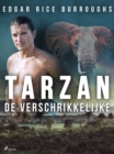 Image for Tarzan de verschrikkelijke
