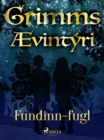 Image for Fundinn-Fugl