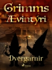 Image for Dvergarnir