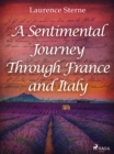 Image for Sentimental Journey Through France and Italy