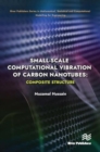 Image for Small-scale Computational Vibration of Carbon Nanotubes: Composite Structure