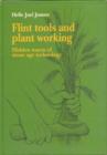 Image for Flint Tools and Plant Working