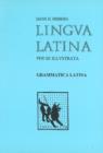 Image for Grammatica Latina