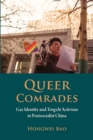 Image for Queer comrades  : gay identity and Tongzhi activism in postsocialist China