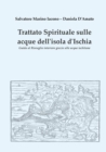 Image for Trattato spirituale sulle acque dell&#39;isola d&#39;Ischia