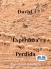 Image for David, La Esperanza Perdida