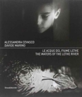 Image for Alessandra Cevasco, Davide Marino : The Waters of the River Lethe