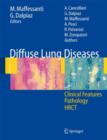 Image for Diffuse Lung Diseases : Clinical Features, Pathology, HRCT
