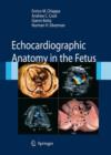 Image for Echocardiographic anatomy in the fetus