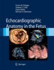 Image for Echocardiographic anatomy in the fetus