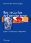 Image for Ileo meccanico dell&#39;intestino tenue: Aspetti TC e correlazioni eco-radiografiche