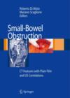 Image for Small-Bowel Obstruction
