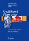 Image for Small bowel obstruction: CT features with Plain Film and US correlations