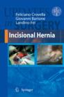 Image for Incisional hernia