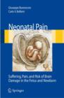 Image for Neonatal pain  : suffering, pain and risk of brain damage in the fetus and newborn
