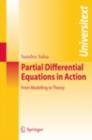Image for Partial differential equations in action: from modelling to theory