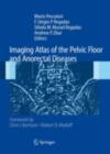Image for Imaging atlas of the pelvic floor and anorectal diseases