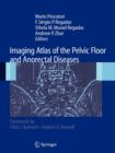 Image for Imaging Atlas of the Pelvic Floor and Anorectal Diseases