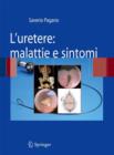 Image for L&#39;uretere: malattie e sintomi