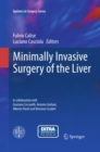 Image for Minimally invasive surgery of the liver : 0