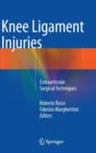 Image for Knee Ligament Injuries