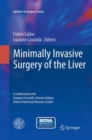 Image for Minimally invasive surgery of the liver