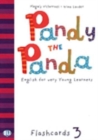 Image for Pandy the Panda : Flashcards 3