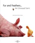 Image for Fur and Feathers