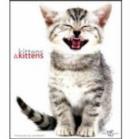 Image for Kittens &amp; Kittens