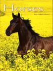 Image for Horses: Pocket Book