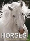 Image for Horses: Breeds, Cultures, Traditions