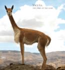 Image for Vicuna