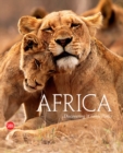 Image for Africa  : discovering wildlife parks