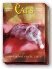 Image for Cats Oracle Cards