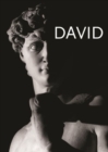 Image for David: Michelangelo