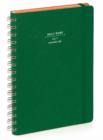 Image for Nava 2015 Diary Daily Small Green