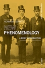 Image for New Phenomenology