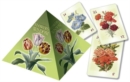 Image for FLOWERS WISDOM Pyramid Cards EX110