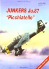 Image for Junkers Ju87 Picchiatello