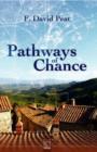 Image for Pathways of chance