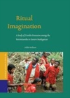 Image for Ritual imagination: a study of tromba possession among the Betsimisaraka in eastern Madagascar : v. 40