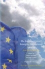 Image for The European Union&#39;s emerging international identity: views from the global arena