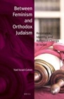 Image for Between feminism and Orthodox Judaism: resistance, identity, and religious change in Israel : v. 20