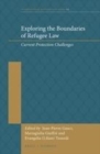Image for Exploring the boundaries of refugee law: current protection challenges