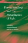 Image for Phenomenology and the metaphysics of sight : VOLUME 13
