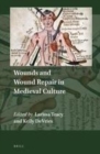 Image for Wounds and wound repair in medieval culture