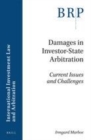 Image for Damages in Investor-State Arbitration: Current Issues and Challenges