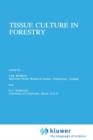 Image for Tissue Culture in Forestry