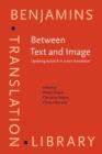 Image for Between Text and Image : Updating research in screen translation