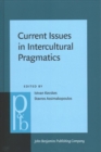 Image for Current Issues in Intercultural Pragmatics